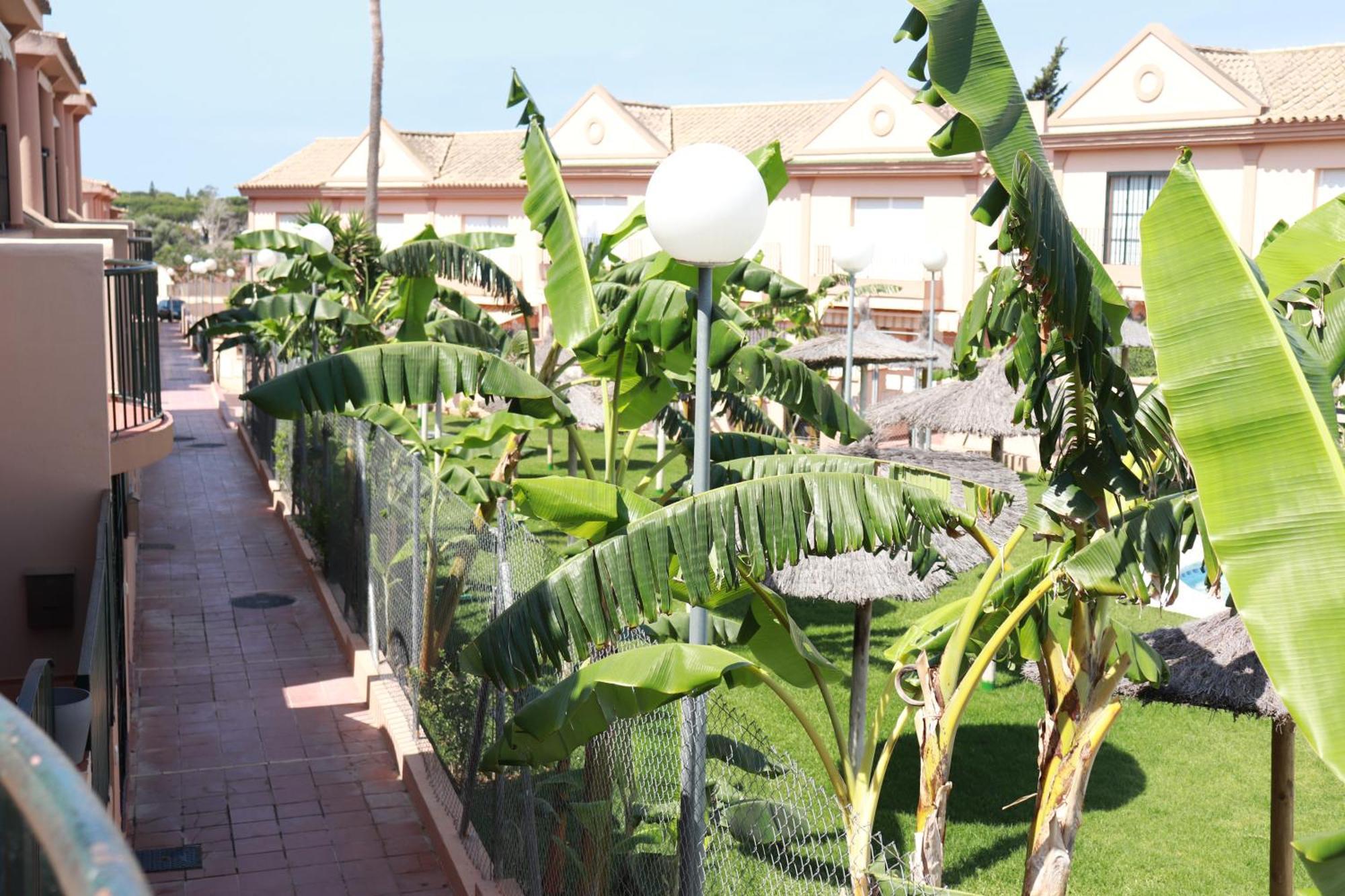 צ'יקלנה דה לה פרונטרה Playa La Barrosa, Alojamientoslola מראה חיצוני תמונה